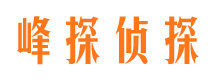 新疆资产调查